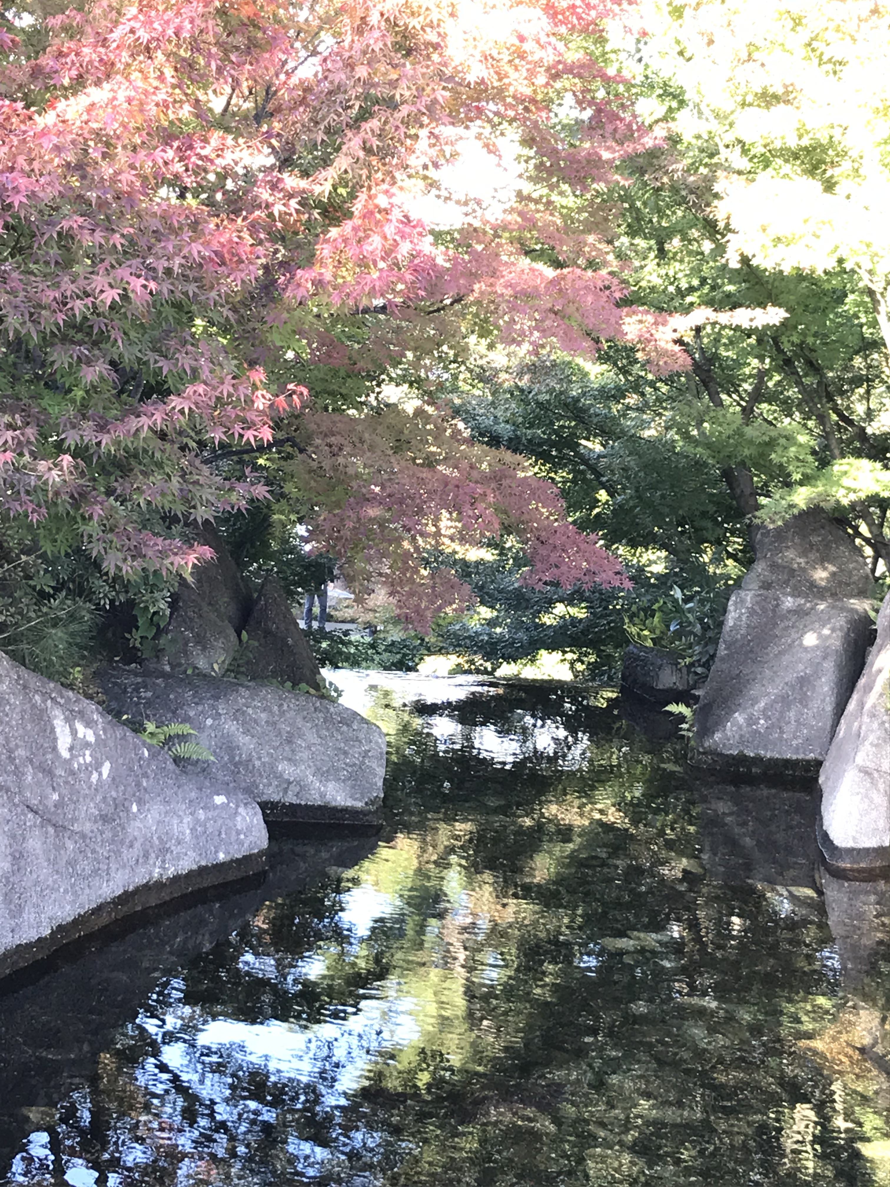 徳川園へ紅葉狩りに行ってきました。